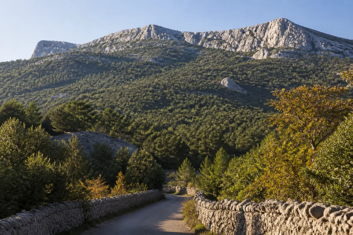 Crête calcaire de la montagne Sainte-Victoire vue depuis la route de Vauvenargues