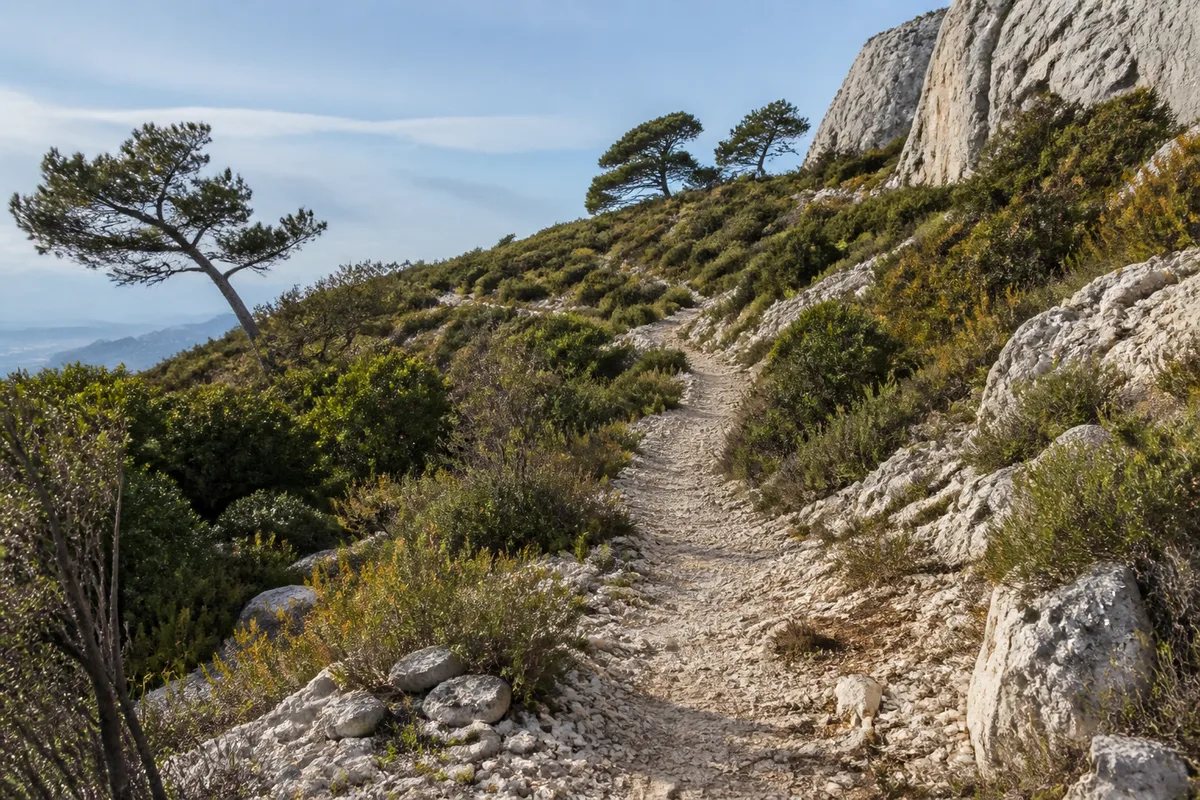Sentier caillouteux montant vers le prieuré de Sainte-Victoire entre pins et garrigue