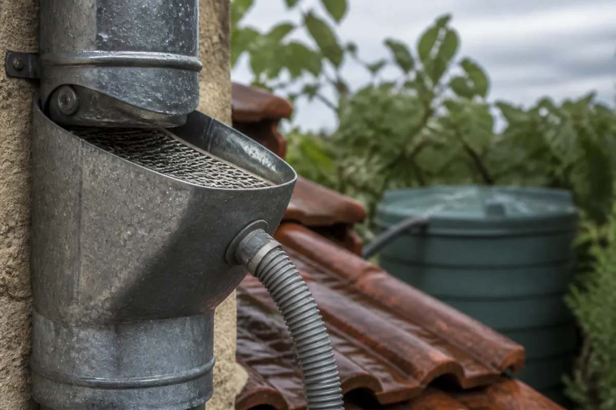 Gouttière en zinc et collecteur filtrant raccordés à une cuve après une averse